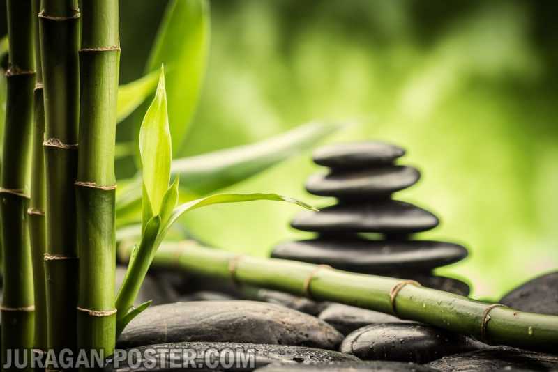 Bamboo – Jual Poster Di Juragan Poster