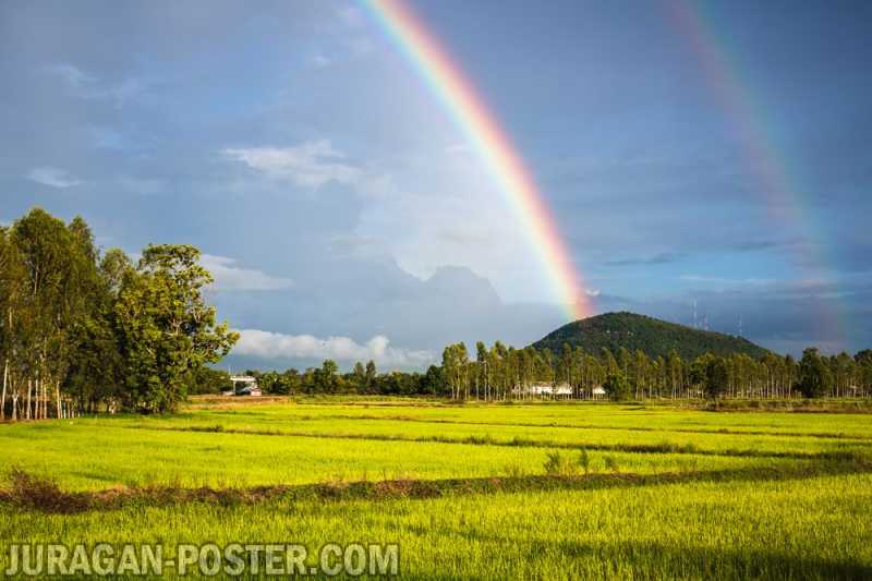 Rainbow – Jual Poster di Juragan Poster