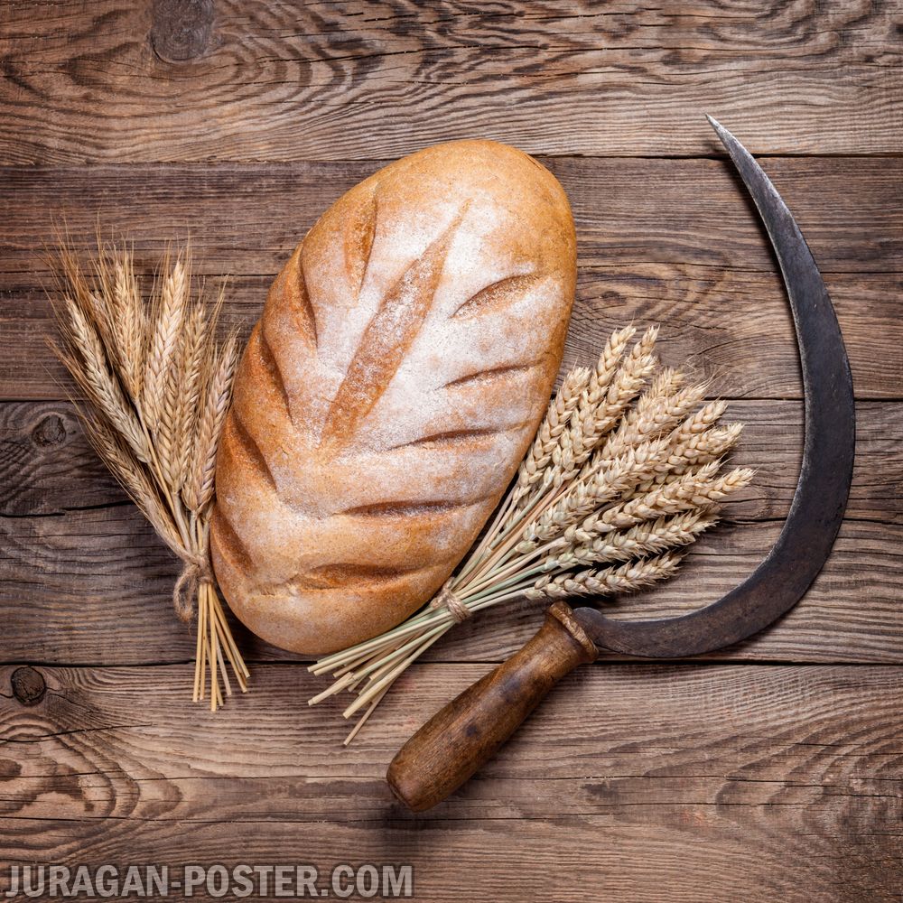 Bread / roti