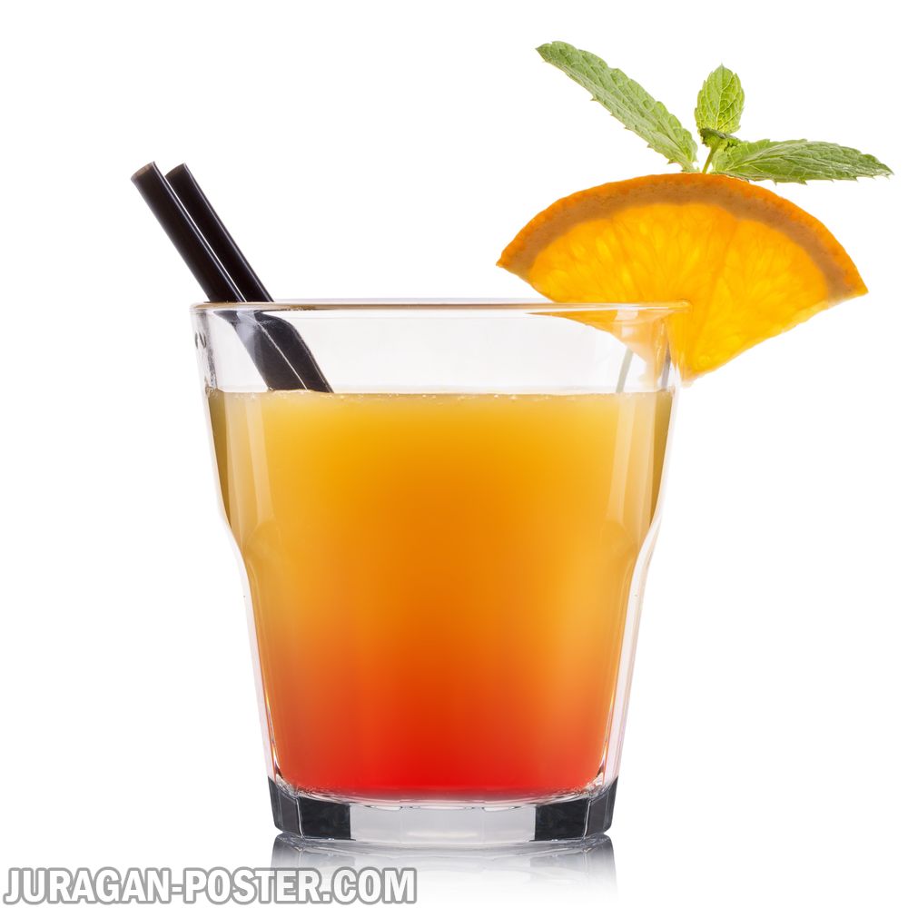 jual poster gambar minuman cocktail jeruk