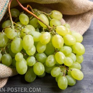 jual poster gambar buah anggur