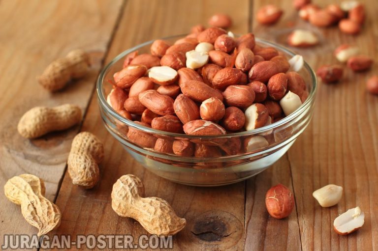 Jual poster gambar makanan Nuts / Kacang-kacangan 02