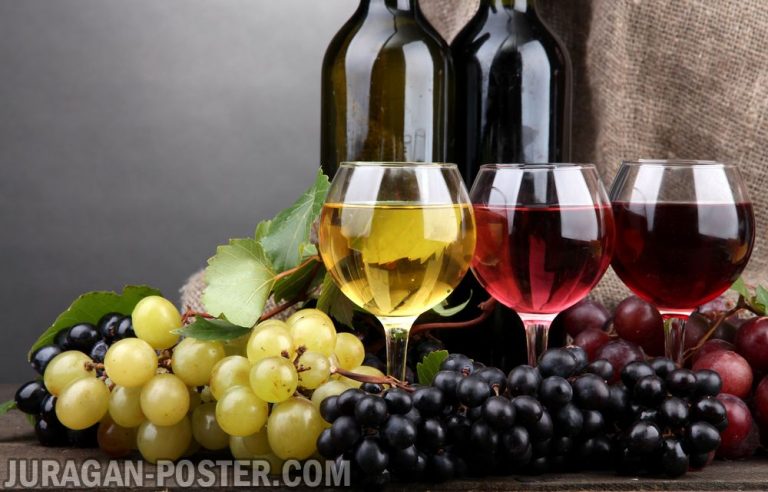 jual poster gambar minuman wine anggur