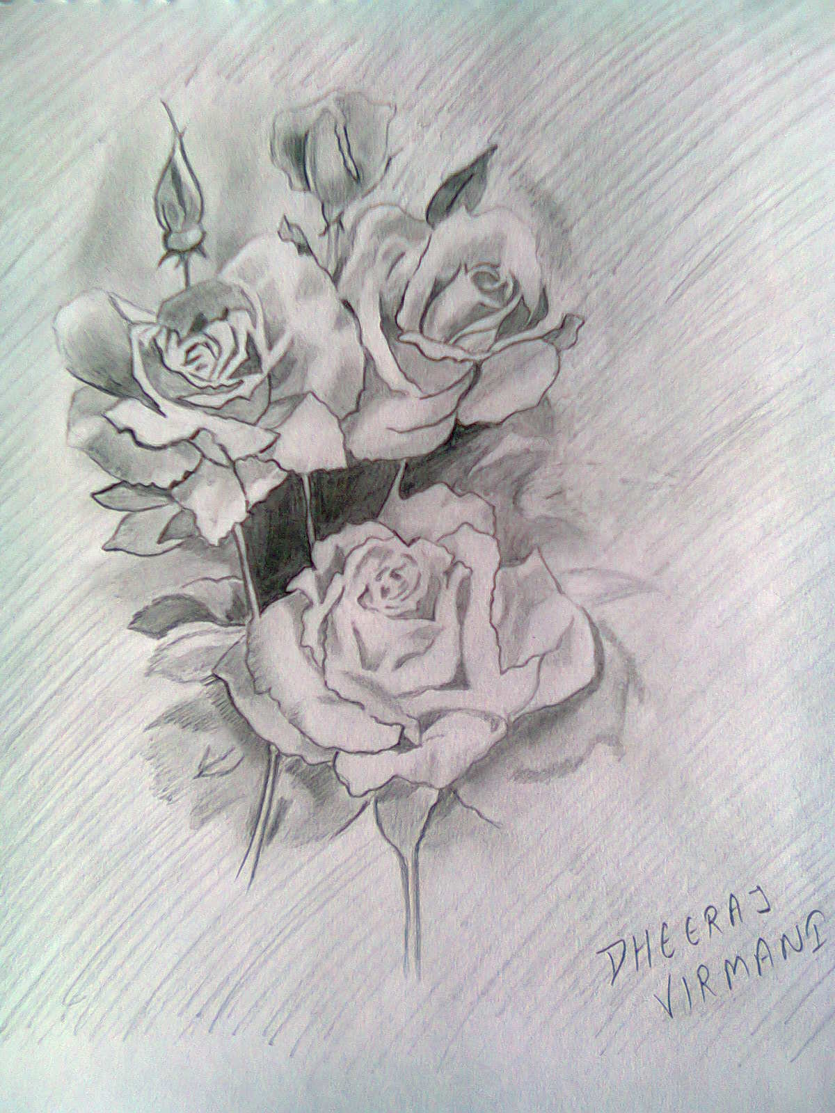 Lukisan Bunga Mawar Dengan Pensil Terbaru