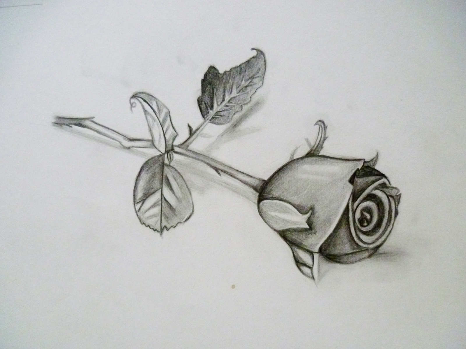 Bunga Arsiran Pensil