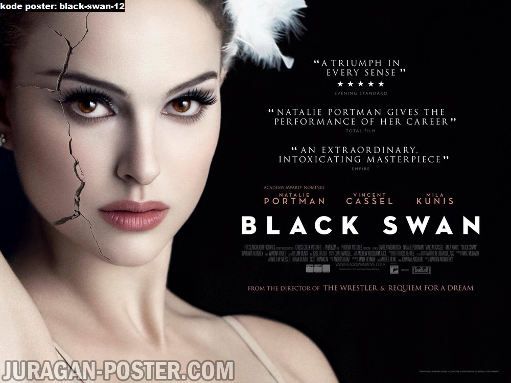 black-swan-12
