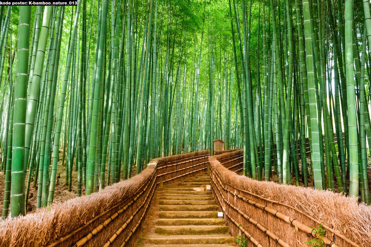 hiasan-dinding-kanvas-pemandangan-alam bamboo-013.