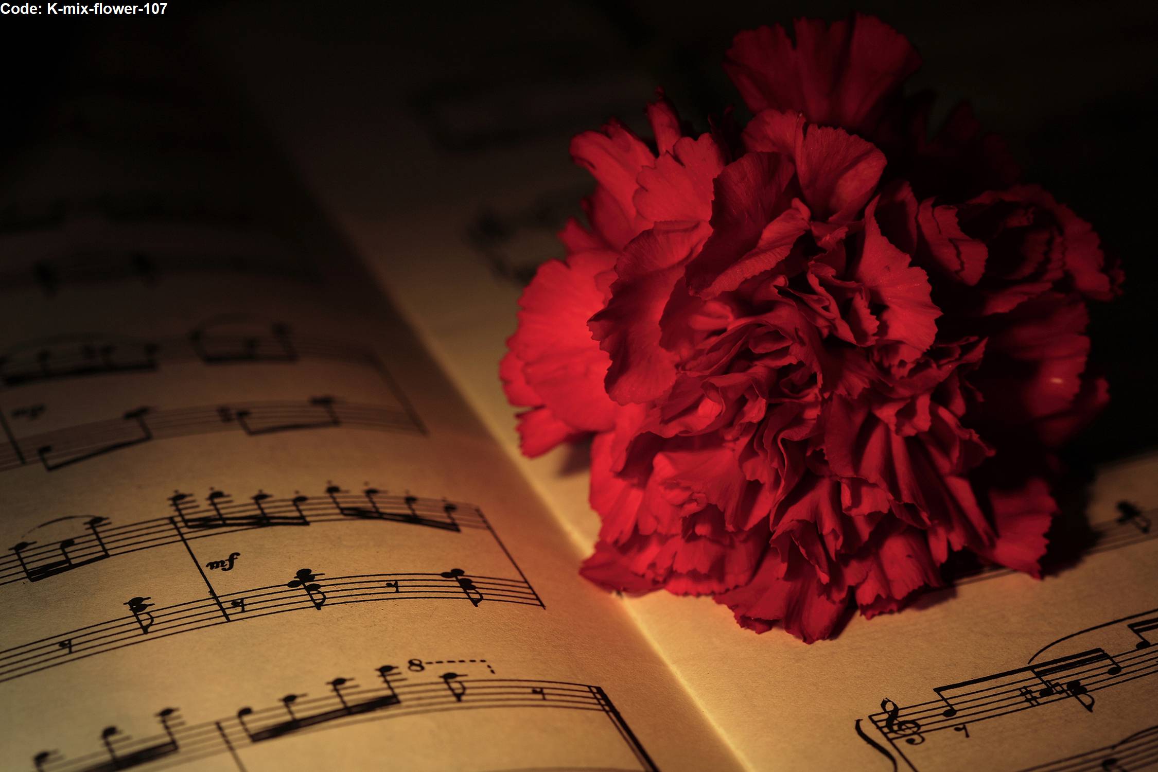 5 мая музыка. Ноты фон. Красивый фон с нотами и цветами. Гвоздики и Ноты. Ноты и цветы.