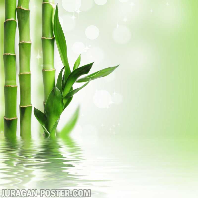 Bamboo – Jual Poster di Juragan Poster