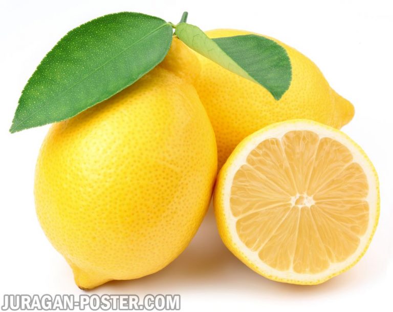 jual poster gambar buah lemon