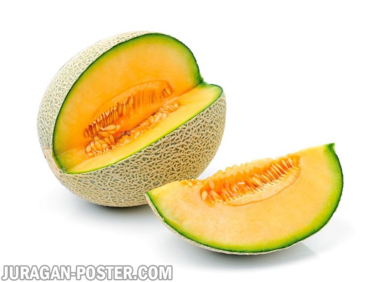 jual poster gambar buah Melon