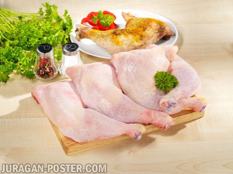 Jual poster gambar makanan daging ayam mentah