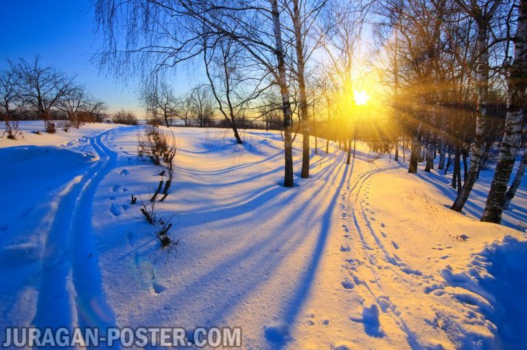 Jual poster gambar pemandangan alam musim salju winter 01