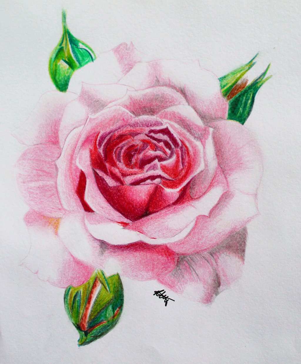 79 Aksesoris Lukisan Bunga Mawar Dari Pensil Gambar Lukisan