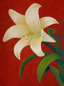 61 Gambar Lukisan Bunga Tulip Sederhana Terbaik