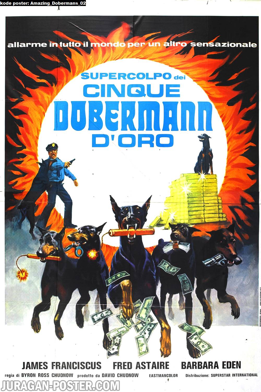 Amazing Dobermans 02 – Jual Poster di Juragan Poster